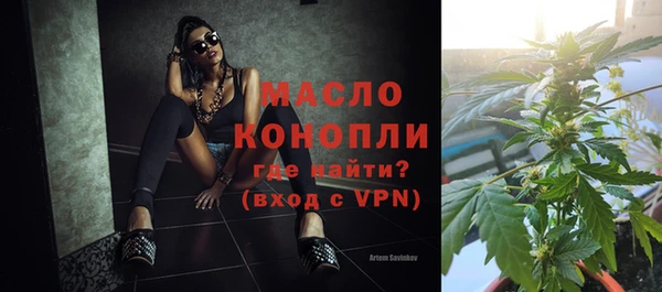 шишки Магас