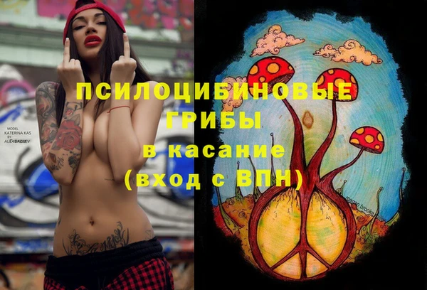 Альфа ПВП Алзамай