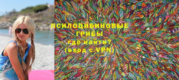 тгк Алексин