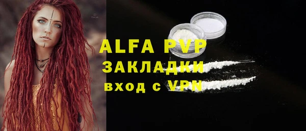 шишки Магас