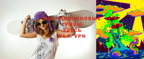 тгк Алексин