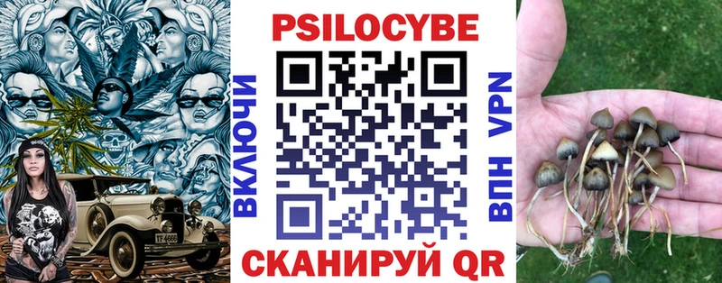 купить закладку  Артём  МЕГА вход  Галлюциногенные грибы MAGIC MUSHROOMS 